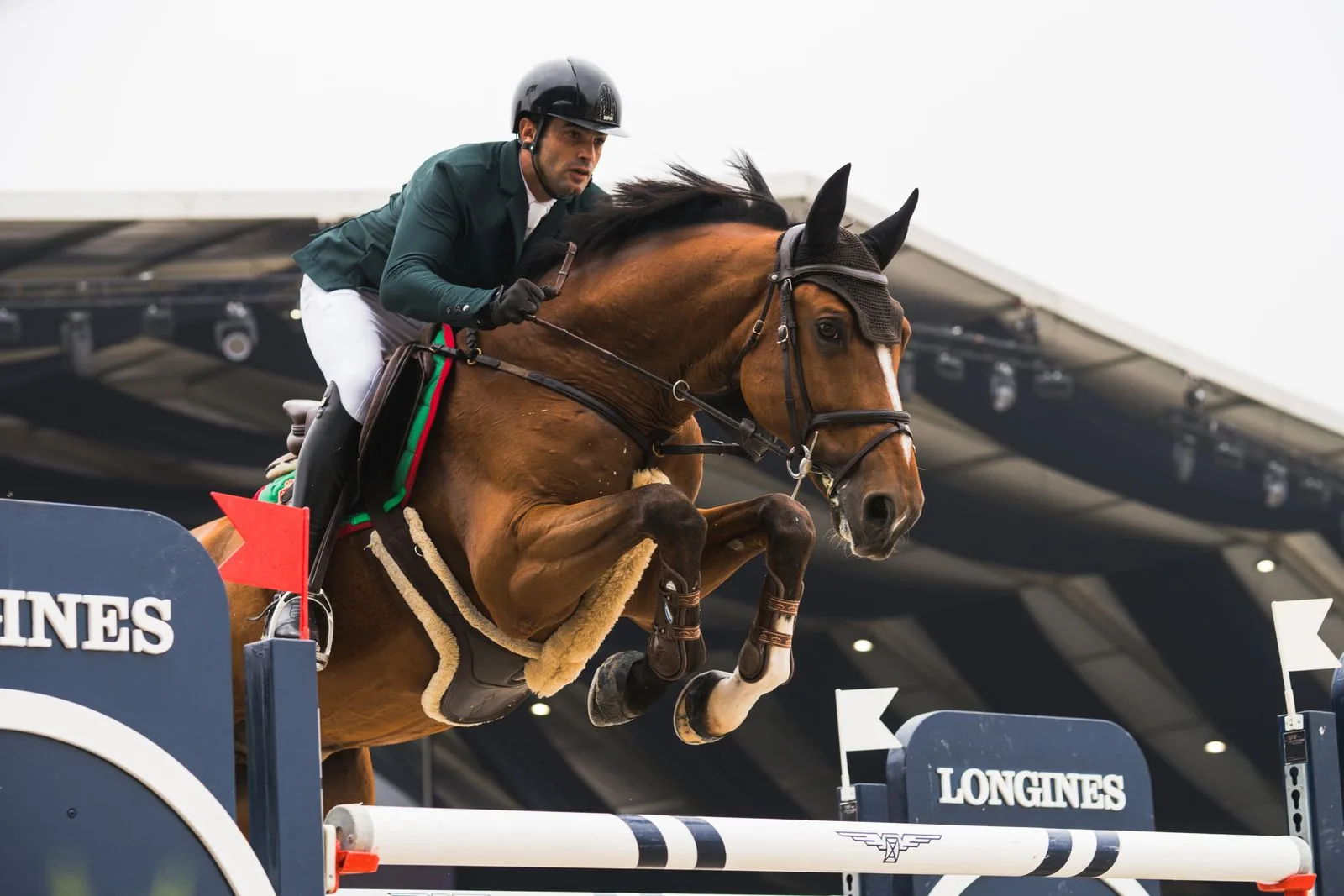 Caballo y jinete durante una prueba de salto; fotografía real de stock